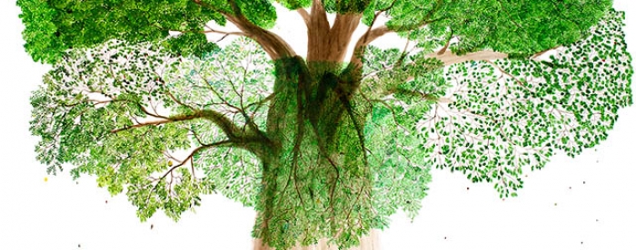 The tree of life and abundance