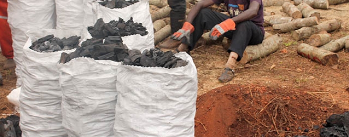 Governance Arrangements for Sustainable Charcoal Production in Ghana.