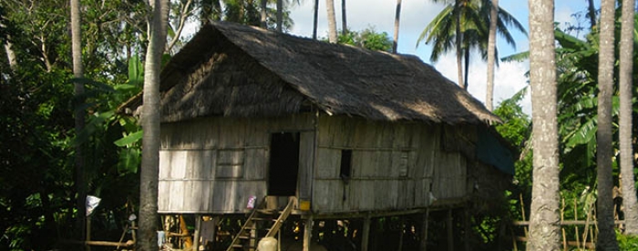 Strategy to side with indigenous  people