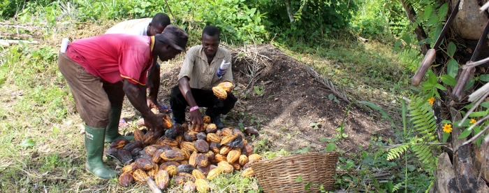 Latest ETFRN News on Zero deforestation: A commitment to change