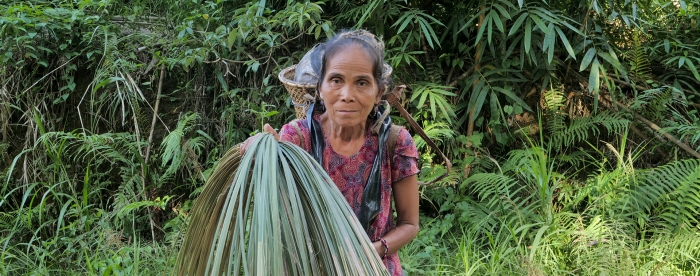 Forests for a Just Future - Green Livelihoods Alliance 