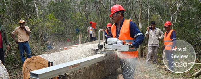 New government decree benefits small-scale forest producers in Bolivia  