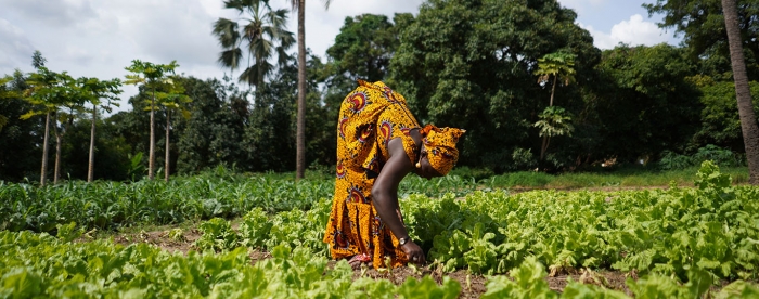 A critical perspective on agroecology - In conversation with Nassib Mugwanya