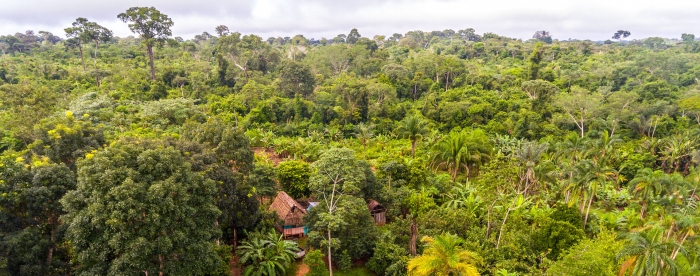 Agroecology is about the whole system - In conversation with Pablo Tittonell