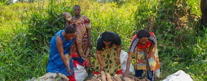 Smallholders in transition in DR Congo - In conversation with Alphonse Maindo