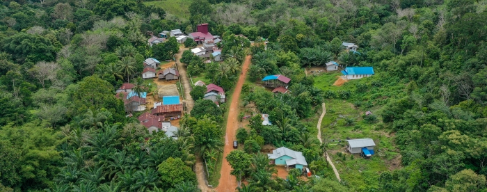 EU must urgently assess smallholder needs for deforestation regulation success