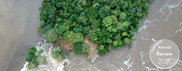 Increasing the role of forests and trees in national climate plans