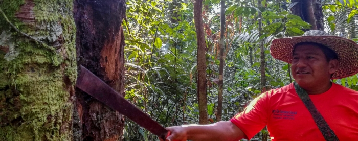 Community forestry and the role of NGOs in internal governance processes