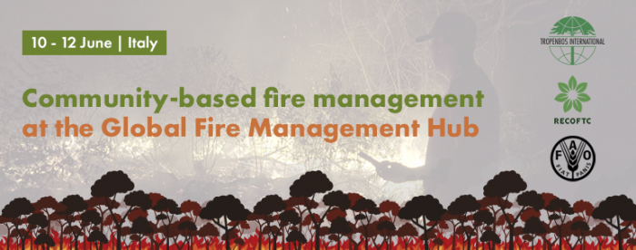 Global Fire Management Hub Plenary
