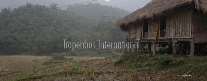 Food security and energy development in Viet Nam