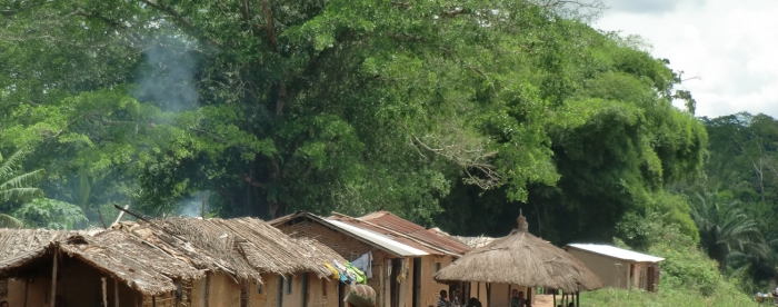 Increasing land purchases around Kisangani cause conflicts with local population