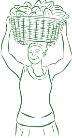 Artboard 13 copy@2x.png