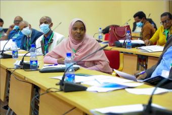 SUB: Hon. Tiya Miyo of the Pastoral Affairs Standing Committee spoke eloquently about the need to accommodate pastoral mobility and the particular socio-economic conditions of the pastoral drylands. Her Borena region, like Somali Region, is currently experiencing severe drought. 