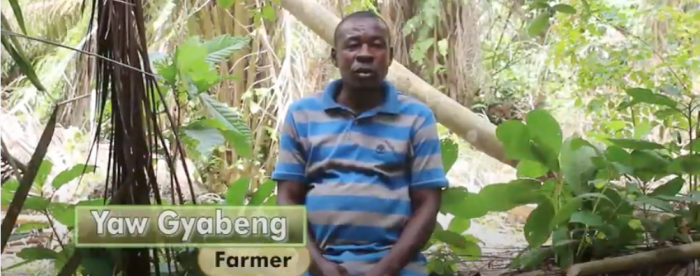 Yaw Gyabeng’s – River bank restoration at Elluokrom, Ghana