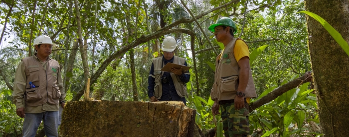 Certification of forest management by Indigenous communities Guarayos, Bolivia