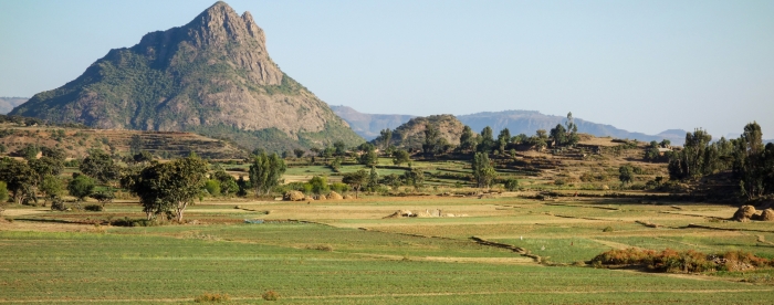 Cascading the national drylands restoration strategy to the regional level in Ethiopia